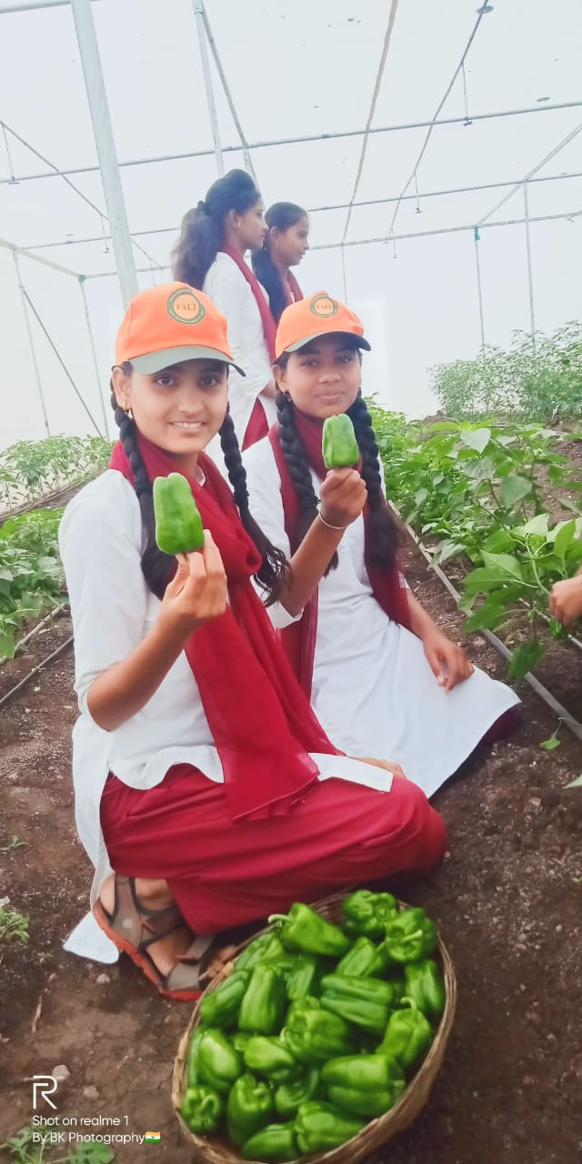 Capsicum 2