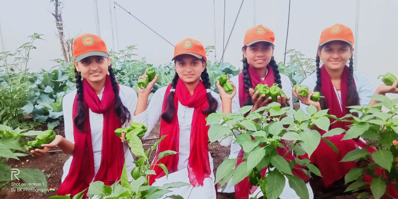 Capsicum 3