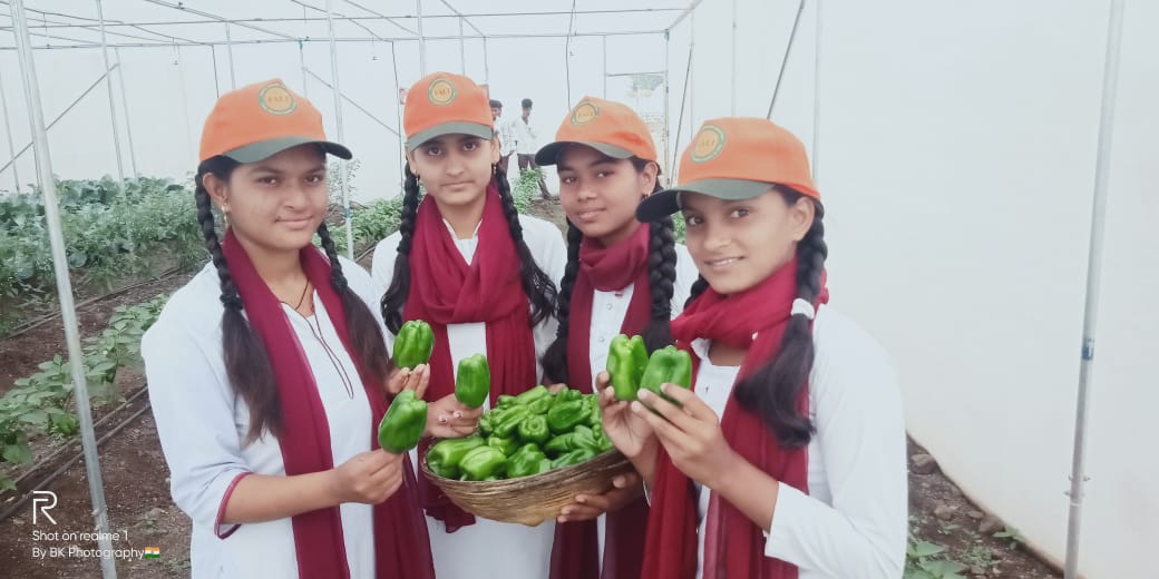 Capsicum 5